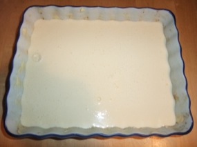 Photo de l'appareil dans le plat de cuisson