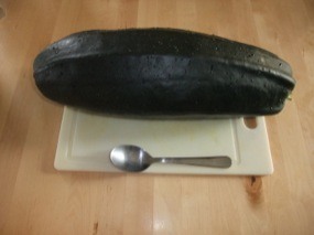 Photo de la courgette - spécimen de 40 cm et plus de 3 kg