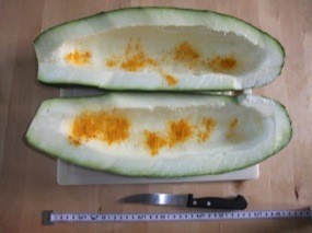 Courgette vidée et saupoudrée de curcuma