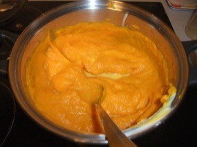 Potimarron cuit et mixé avec un peu de lait ... Une purée en somme