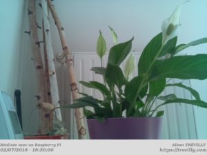 Photo de plantes avec le module caméra du Raspberry Pi