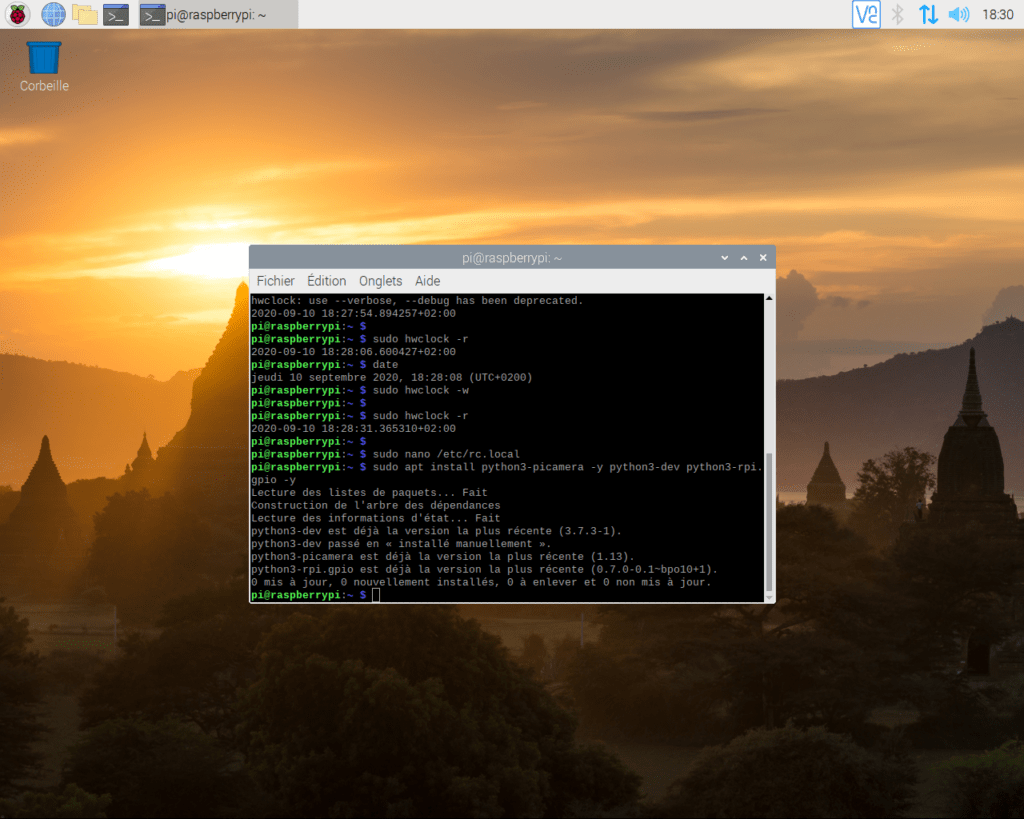Capture d'écran avec le Terminal en mode installation à la Linuxien ;-)